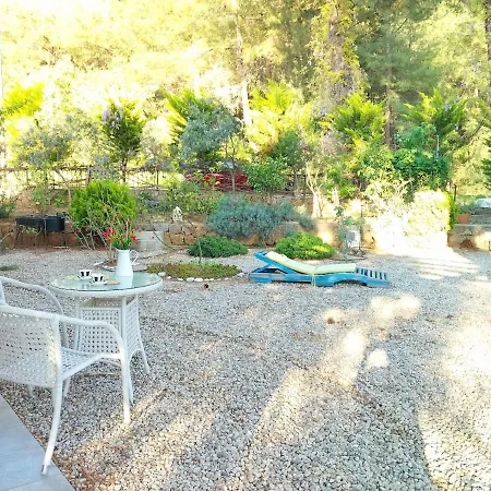 Villa Yok1 *