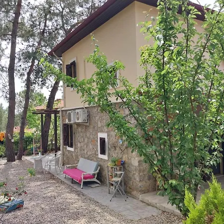 Villa Yok1 *