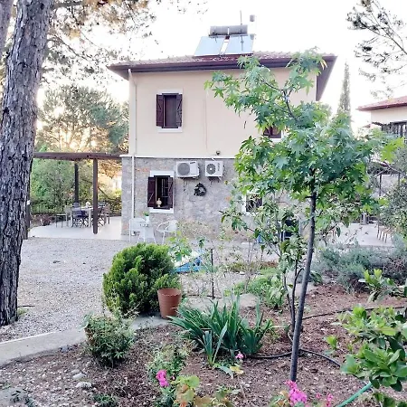 Yok1 Villa *